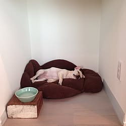 押入れ改造 犬小屋 和室 ペットと暮らす家のインテリア実例 18 02 23 17 52 28 Roomclip ルームクリップ