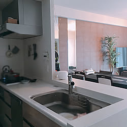 コスモウォーター/ランチョンマット/ダイソー/タカラスタンダード/Panasonic...などのインテリア実例 - 2018-09-27 16:28:09