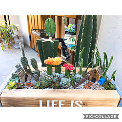 害虫駆除のインテリア実例 Roomclip ルームクリップ 害虫駆除のインテリア実例 Roomclip ルームクリップ