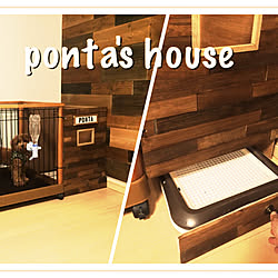 犬のトイレ Diy トイレトレー Diy リメイクのインテリア実例 19 12 16 19 42 35 Roomclip ルームクリップ