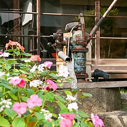 部屋全体/井戸/昭和/ナチュラル/アンティーク...などのインテリア実例 - 2016-10-12 21:12:24