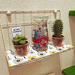 多肉植物/サボテン/消臭剤/芳香剤/賃貸...などのインテリア実例 - 2019-07-16 23:53:40