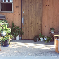 玄関/入り口/ベンチ/杉板張り/玄関/NO GREEN NO LIFE...などのインテリア実例 - 2018-08-11 08:33:55
