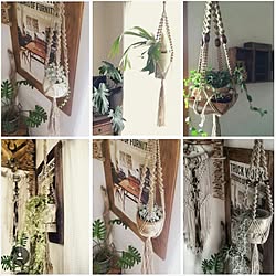委託販売の作品/インスタ→usuko4110/しゃれとんしゃあ会/プラントハンガー/NO GREEN NO LIFE...などのインテリア実例 - 2015-10-22 11:34:25