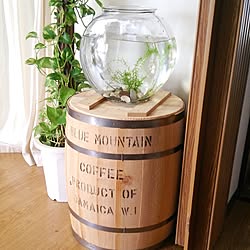 メダカ ポトスのインテリア実例 Roomclip ルームクリップ