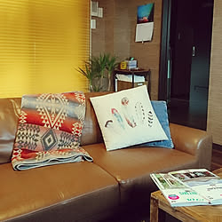 部屋全体/ベルメゾン/みんな大好き♡/RC名古屋同盟/好きに囲まれて幸せ。...などのインテリア実例 - 2018-01-29 12:33:52