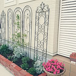 カラフル花壇 ジブリに出てきそうな花壇を目指して バコパ 花壇 庭 などのインテリア実例 18 06 08 18 00 34 Roomclip ルームクリップ