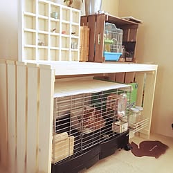 うさぎケージのインテリア実例 Roomclip ルームクリップ