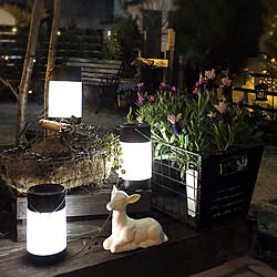 Ledソーラーライトガラスボールのインテリア実例 Roomclip ルームクリップ