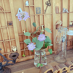 カインズ フラワーベース ガラスの商品を使ったおしゃれなインテリア実例 Roomclip ルームクリップ