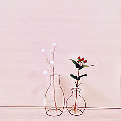 ワイヤー花瓶のインテリア実例 Roomclip ルームクリップ