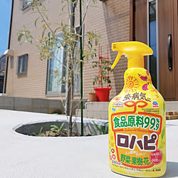 玄関/入り口/ガーデニング/植物のある暮らし/害虫対策/アースガーデン...などのインテリア実例 - 2020-06-07 15:47:44