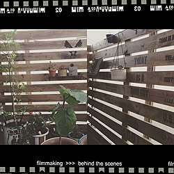 壁/天井/green色々/ストレス爆発するとこうなります。笑/HCを2往復/ステンシル...などのインテリア実例 - 2015-05-22 21:33:33