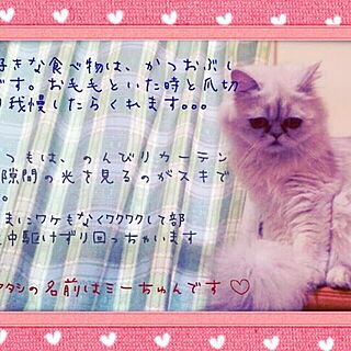 ベッド周り/❁愛猫ミーちゅん❁のインテリア実例 - 2014-04-07 23:41:27