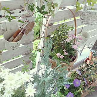 サザンクロスのインテリア実例 Roomclip ルームクリップ