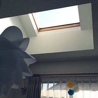 壁/天井/IKEA/天窓のインテリア実例 - 2014-05-24 11:01:59