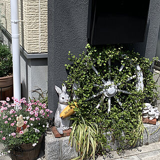 カーペットかすみ草/ローゼンセマム/ワイヤープランツ❤︎/ウサギのオブジェ/木の車輪...などのインテリア実例 - 2021-04-24 13:56:23