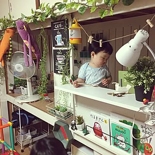 棚/IKEA/北欧/秘密基地/多肉植物...などのインテリア実例 - 2017-06-01 20:38:14