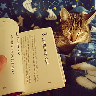 至福の時間/猫/読書/寝室のインテリア実例 - 2019-01-28 22:47:11