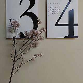 壁/天井/カレンダー/桜の枝/春の花/シンプルデザイン...などのインテリア実例 - 2023-03-14 05:56:39