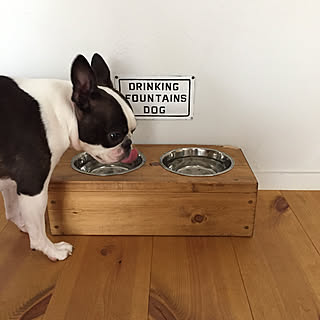 部屋全体/犬の食器/ボストンテリア/ブリキプレートリメイク/犬のいる暮らし...などのインテリア実例 - 2017-08-15 10:26:37