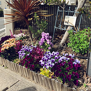 植物のある暮らし/道路沿いのGarden/RCの出会いに感謝♥︎/NO GREEN NO LIFE/カメラマーク消し隊...などのインテリア実例 - 2021-04-11 23:43:59