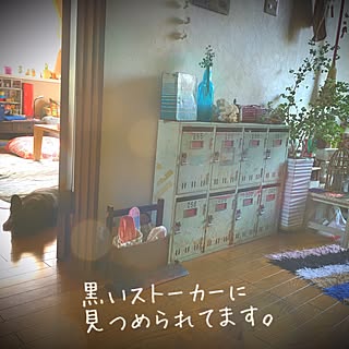 玄関/入り口/観葉植物/ロッカー/愛犬/フレンチブルドックのインテリア実例 - 2016-05-14 09:55:17