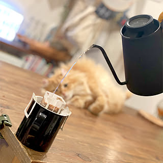 ねこのいる日常/コーヒーのある暮らし/おうちカフェ/おうちごはん/木のぬくもり...などのインテリア実例 - 2022-02-02 02:30:04