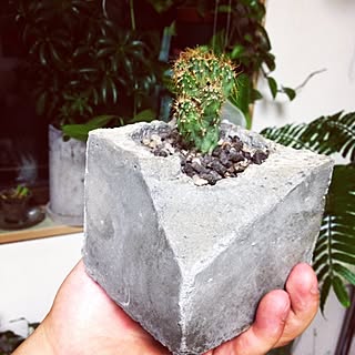 自作の植木鉢のインテリア実例 Roomclip ルームクリップ