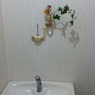 バス/トイレ/植物/壁飾り/手みやげのインテリア実例 - 2012-05-15 09:03:14