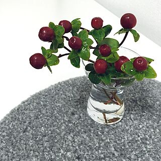 リビング/青山flower market/今日のお花/IKEAのインテリア実例 - 2016-01-30 10:38:07
