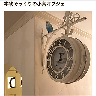 セリア　インコ/両面時計/世界が平和で有りますように。/ホワイトインテリア/無垢の床...などのインテリア実例 - 2023-02-14 21:57:08