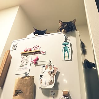 mikomaruさんの実例写真