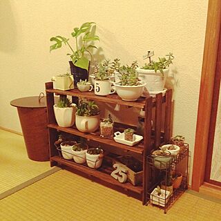 棚/DIY すのこ棚/ゴミ箱/多肉植物/モンステラ♡...などのインテリア実例 - 2014-06-23 21:34:23