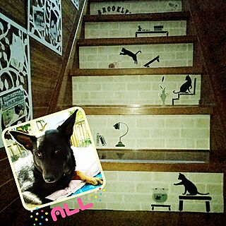 壁/天井/階段の壁/リメイク/かってぃんぐしーと/犬と暮らす家...などのインテリア実例 - 2017-02-20 21:03:13