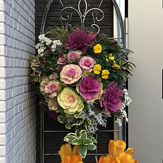 玄関/入り口/投稿します/花のある暮らし/ありがとうございます♡/お花...などのインテリア実例 - 2017-04-09 16:56:44
