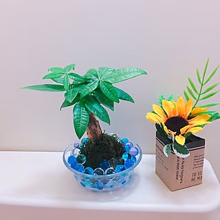 バス/トイレ/観葉植物/ジュエルポリマー/セリア/ワンルーム...などのインテリア実例 - 2017-05-18 16:36:52