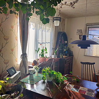 部屋全体/DIY/レトロ/植物と暮らす/色が好き...などのインテリア実例 - 2022-03-17 09:31:46