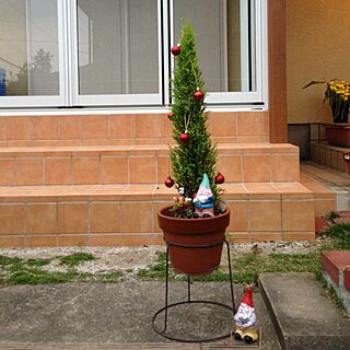 玄関/入り口/小さなツリーのインテリア実例 - 2013-11-06 17:00:14