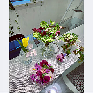 花のある暮らし/机/春のインテリア/黄色/ガラステーブル...などのインテリア実例 - 2020-04-04 23:58:37