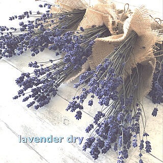 机/lavenderスワッグ/lavender dry/思いやりの心を持って/フォロワー様に感謝❤️...などのインテリア実例 - 2018-07-08 18:08:09