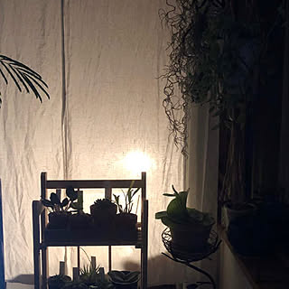 のれん/観葉植物/NO GREEN NO LIFE/照明/机のインテリア実例 - 2019-03-14 22:10:54