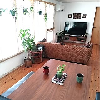 ダイニング/アジアン家具/ボタニカルライフ/植物のある暮らし/ボタニカルインテリア...などのインテリア実例 - 2023-09-02 17:29:50