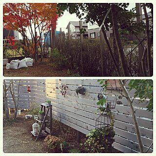 ベッド周り/寄せ植え/鳥かご/板塀/庭...などのインテリア実例 - 2016-01-17 12:24:53
