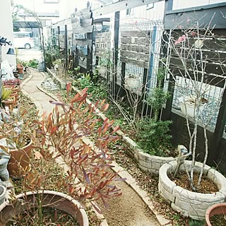 プロヴァンスに憧れて…/アーチ/NO GREEN NO LIFE/母の手作り/gardening...などのインテリア実例 - 2015-01-08 18:48:11