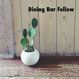 サボテン/Dining Bar Fellow/NO GREEN NO LIFEのインテリア実例 - 2014-09-27 17:12:22