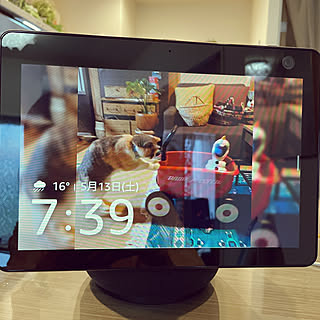 福ばあちゃん/アレクサのある暮らし/Amazon Echo show10/fukuさんちのふくちゃん/わたしの休日のすごし方...などのインテリア実例 - 2023-05-13 07:43:42