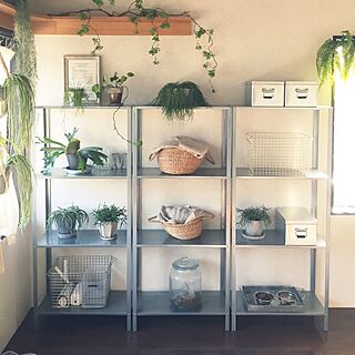 トタンボックス/IKEA/壁に付けられる家具/植物のある暮らし/ブロック...などのインテリア実例 - 2017-03-24 07:55:30