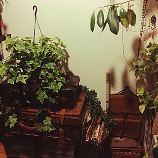 my room/革製品/革ﾄﾗﾝｸ/机まわり/観葉植物...などのインテリア実例 - 2015-06-18 18:28:07