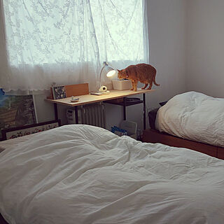 ベッド周り/ねこのいる風景/猫と暮らす/灯台に住みたかったんですよね/茶とら...などのインテリア実例 - 2019-04-24 11:06:49